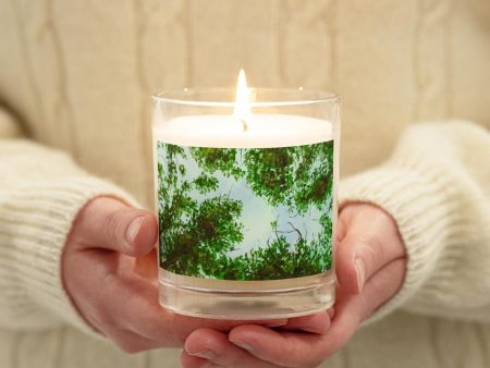 Tree Haven ~ Glass Jar Soy Wax Candle Online