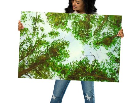 Tree Haven ~ Poster Fashion