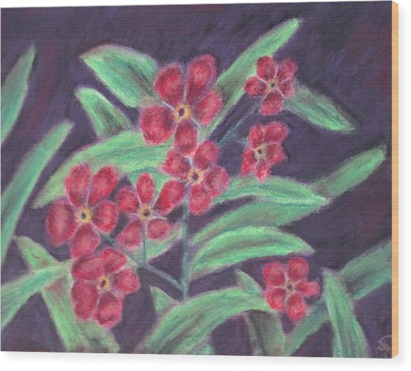 Visions of Forget Me Nots ~ Wood Print Supply