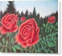 Pure Roses ~ Canvas Print Online Hot Sale