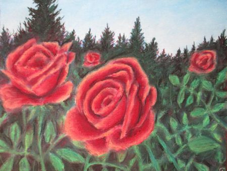 Pure Roses ~ Art Print Online now