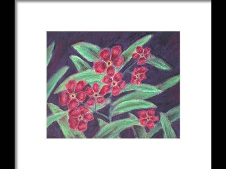 Visions of Forget Me Nots ~ Framed Print Online Sale