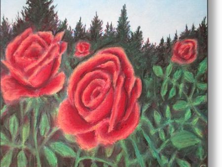 Pure Roses ~ Metal Print Online Sale