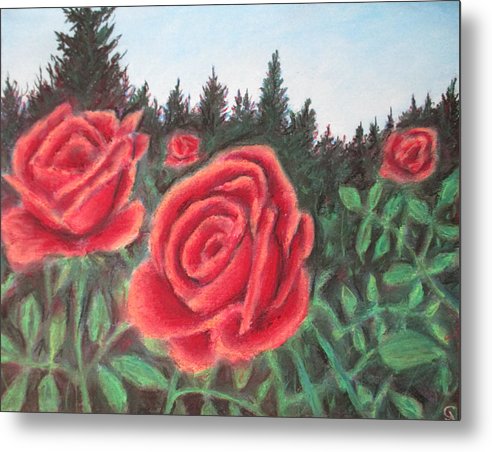 Pure Roses ~ Metal Print Online Sale