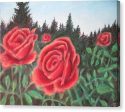 Pure Roses ~ Canvas Print Online Hot Sale