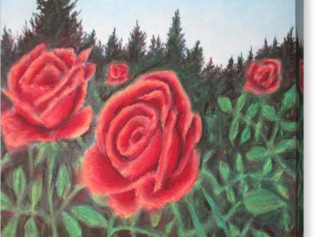 Pure Roses ~ Canvas Print Online Hot Sale