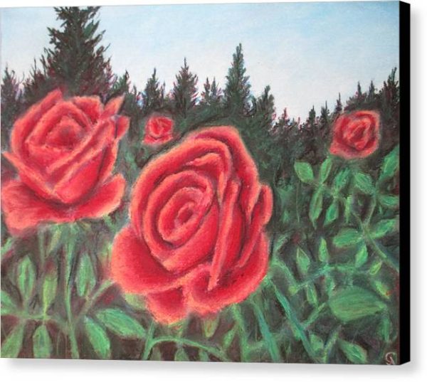 Pure Roses ~ Canvas Print Online Hot Sale