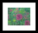 Dreaming of Dahlias ~ Framed Print For Cheap