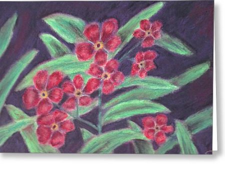 Visions of Forget Me Nots ~ Greeting Card For Cheap