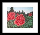 Pure Roses ~ Framed Print Online