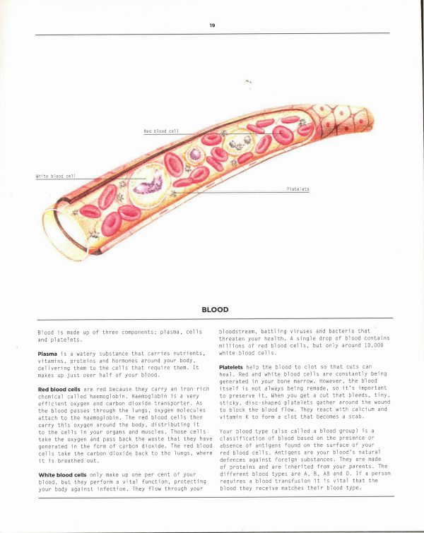 Atlas Of The Human Body Sale